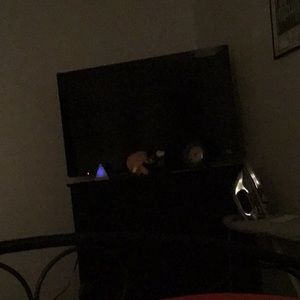 Meet your Posher, Tim